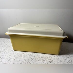 Vintage Tupperware bread box